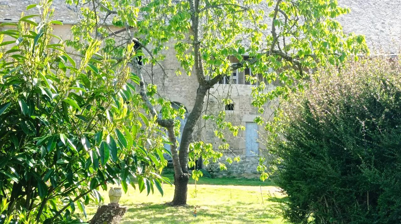 Maris Domus Pres Des Plages Du Debarquement Bayeux Exteriér fotografie